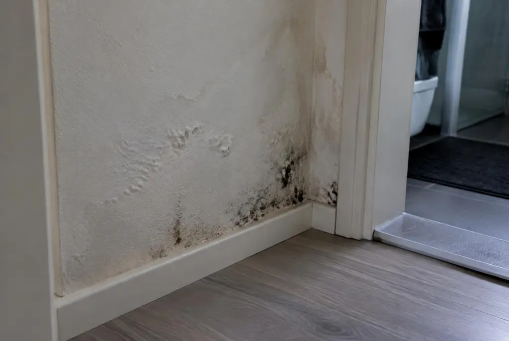 Lekdetectie Apeldoorn – vochtplek met schimmel op een muur